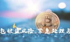如何应对TP钱包被盗风险：紧急处理与安全防范指