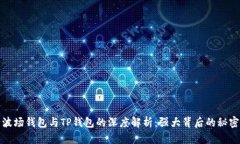 波场钱包与TP钱包的深度解析：强大背后的秘密