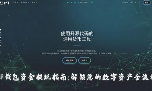 TP钱包资金提现指南：解锁您的数字资产全流程