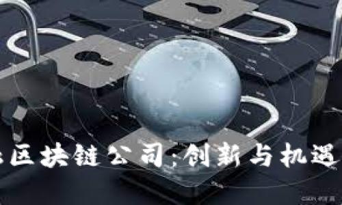深圳金融区块链公司：创新与机遇的汇聚点