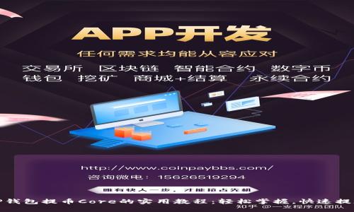 TP钱包提币Core的实用教程：轻松掌握，快速提现