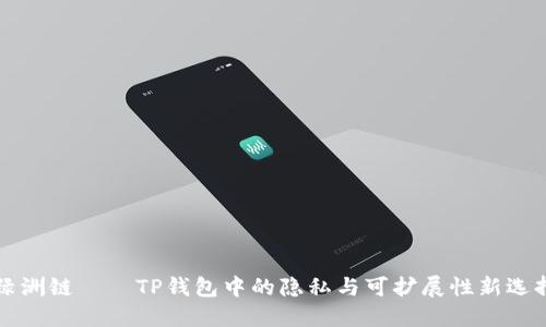 绿洲链——TP钱包中的隐私与可扩展性新选择