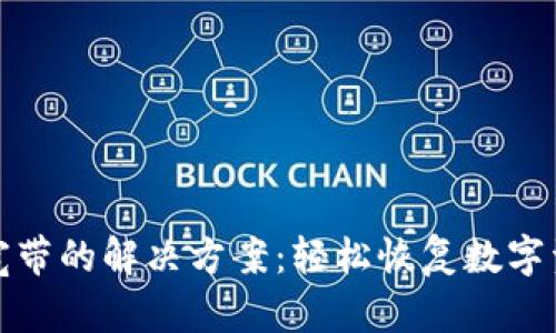 TP钱包没能量宽带的解决方案：轻松恢复数字资产畅通与安全