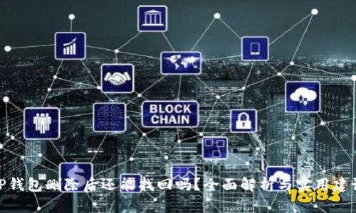 TP钱包删除后还能找回吗？全面解析与实用建议