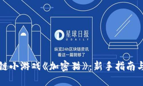 畅玩区块链小游戏《加密猫》：新手指南与技巧分享