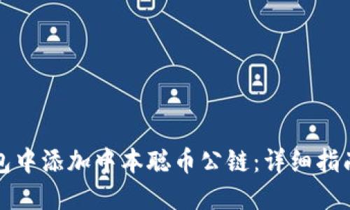 如何在TP钱包中添加中本聪币公链：详细指南与实用技巧