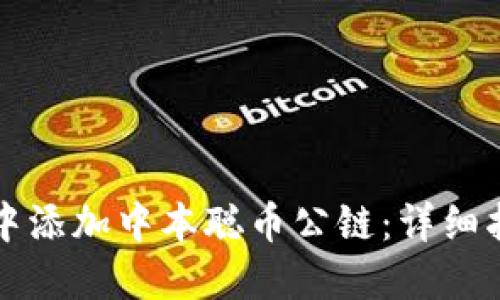 如何在TP钱包中添加中本聪币公链：详细指南与实用技巧