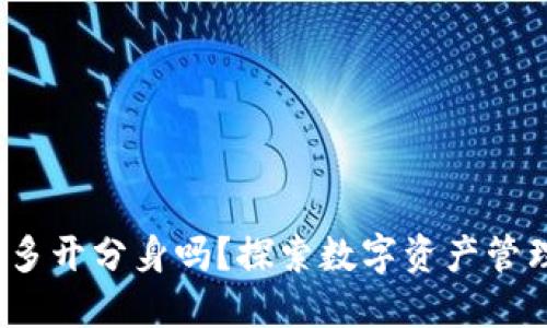 :TP钱包支持多开分身吗？探索数字资产管理的全新方式