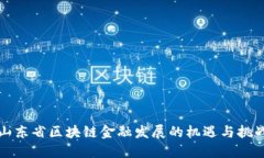 山东省区块链金融发展的机遇与挑战