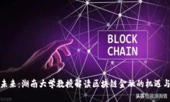 探索未来：湖南大学教授