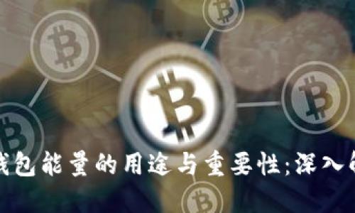TP钱包能量的用途与重要性：深入解读