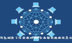 TP钱包删除了还能找回吗？全面解析数据恢复之路