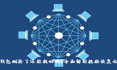 TP钱包删除了还能找回吗？全面解析数据恢复之路